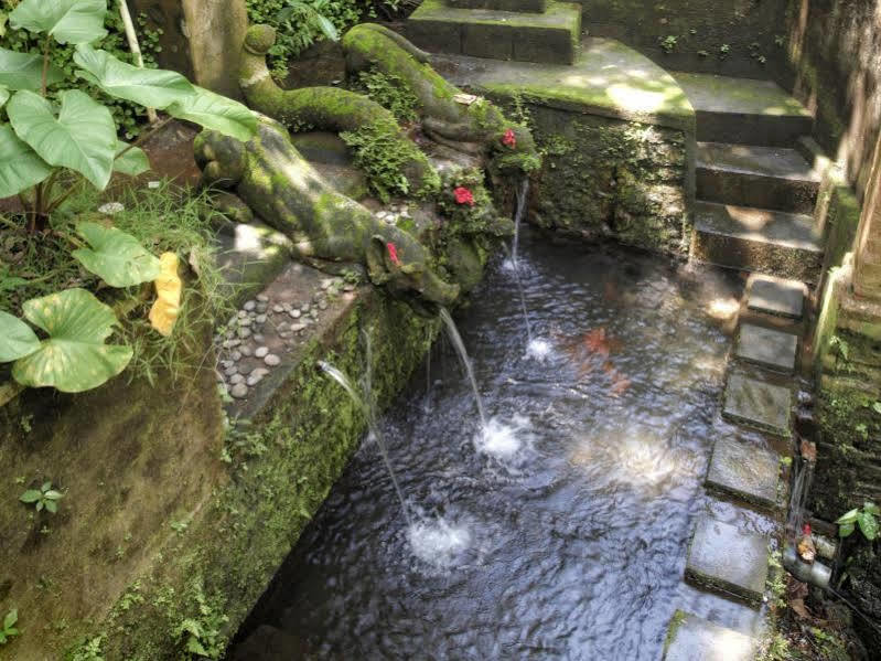 Bucu Beji Ubud Eksteriør bilde