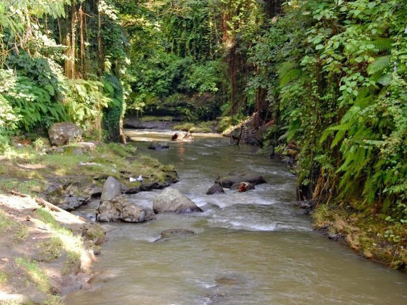 Bucu Beji Ubud Eksteriør bilde