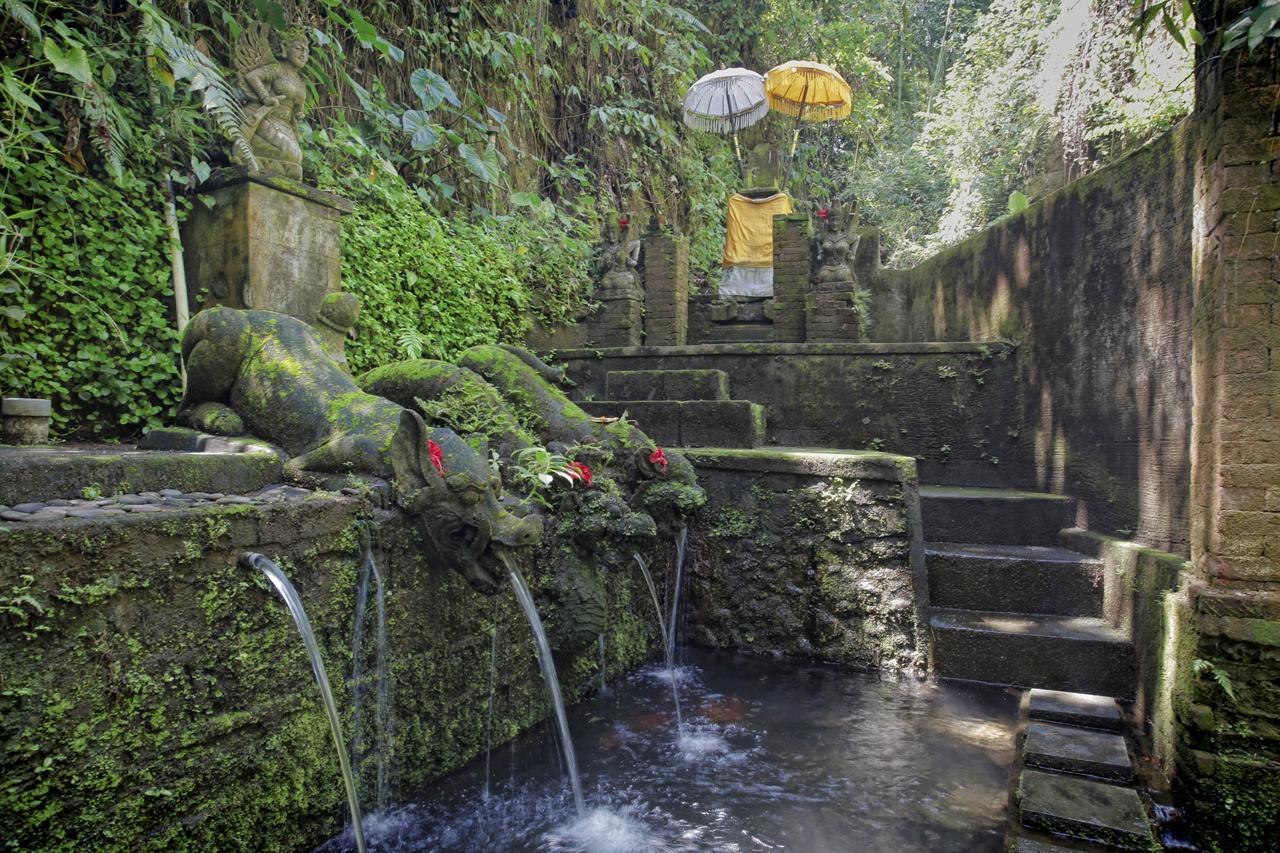 Bucu Beji Ubud Eksteriør bilde