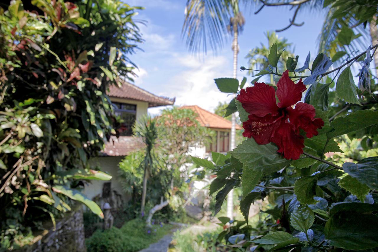 Bucu Beji Ubud Eksteriør bilde